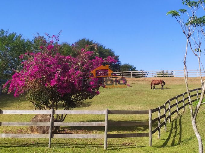 Casa em Condomínio à venda Condomínio Figueira Garden - 084313-2.jpg