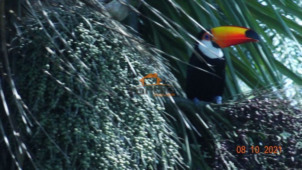 Casa em Condomínio à venda Rio Abaixo - 101521-8.jpeg