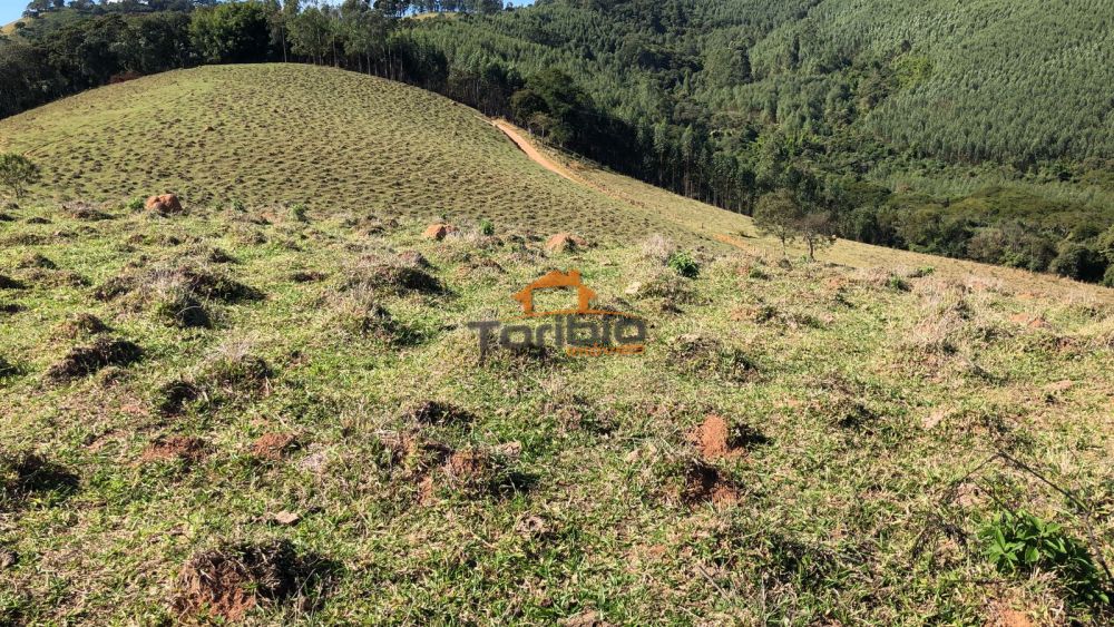 Terreno à venda Água Suja - 124633-6.jpeg