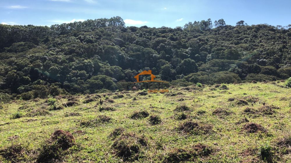 Terreno à venda Água Suja - 124633-9.jpeg