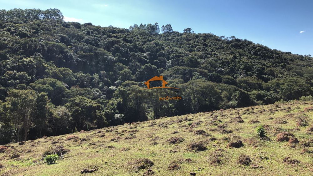 Terreno à venda Água Suja - 124634-11.jpeg